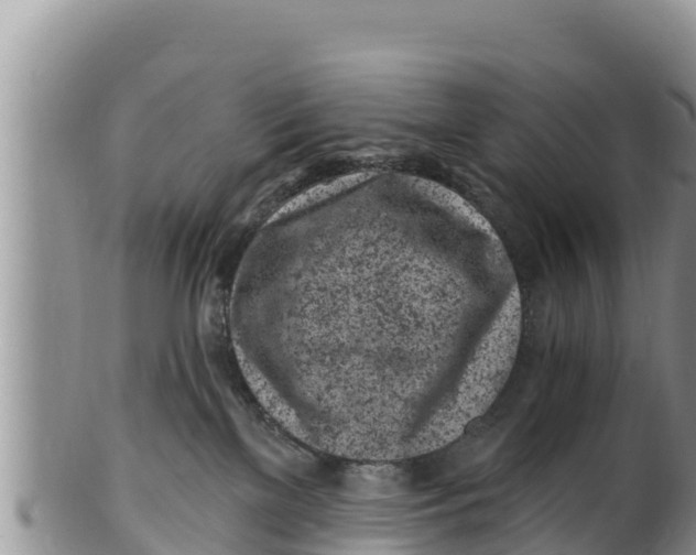 X0000100200137200806201430