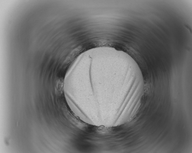 X0000100200142200806201430