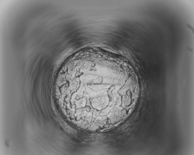 X0000100200145200806201429