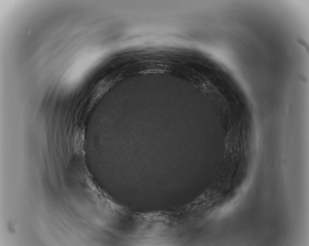 X0000100200146200806201429