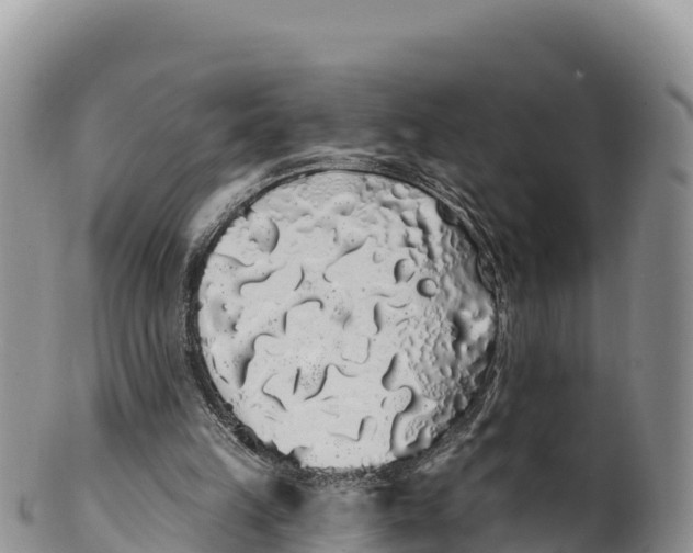 X0000100200149200806201429