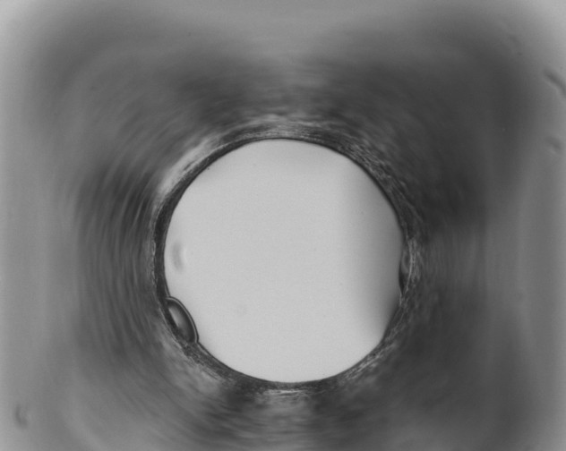 X0000100200150200806201429