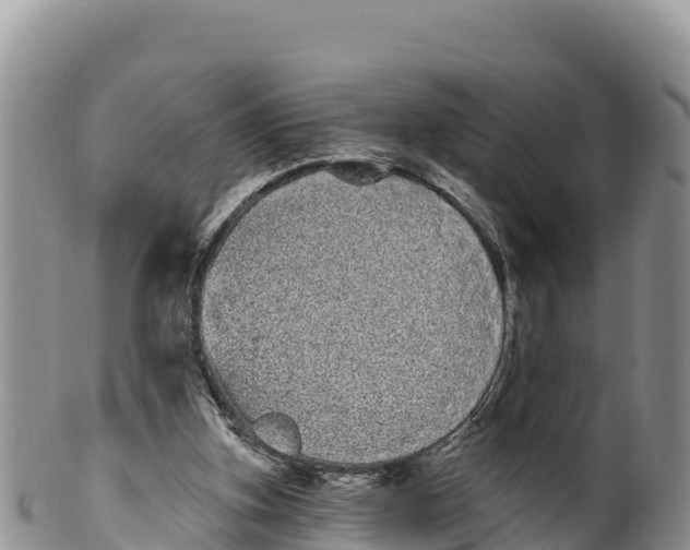 X0000100200155200806201429