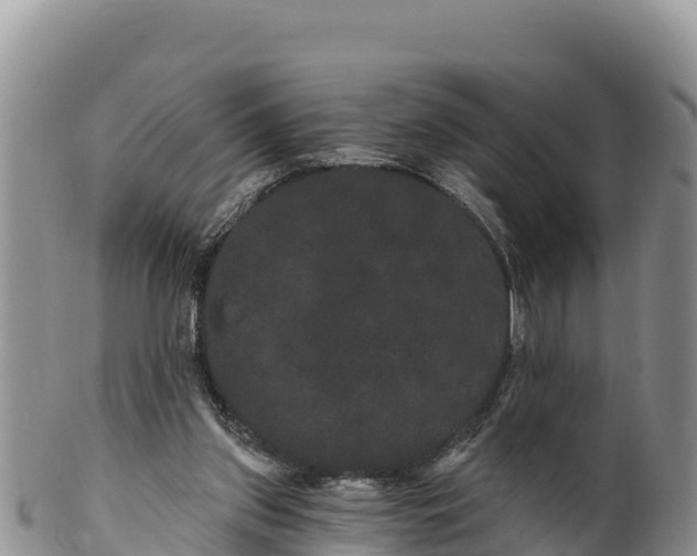 X0000100200157200806201429