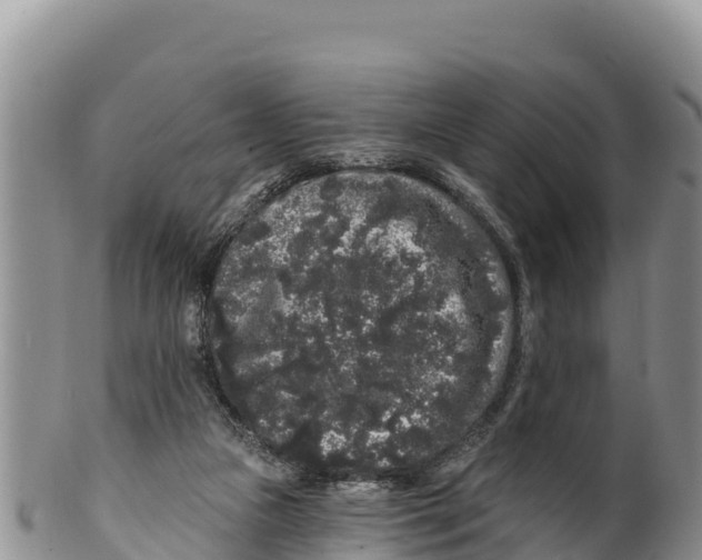 X0000100200161200806201429