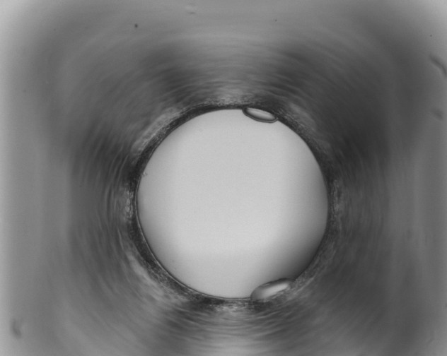 X0000100200164200806201430