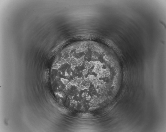 X0000100200165200806201430