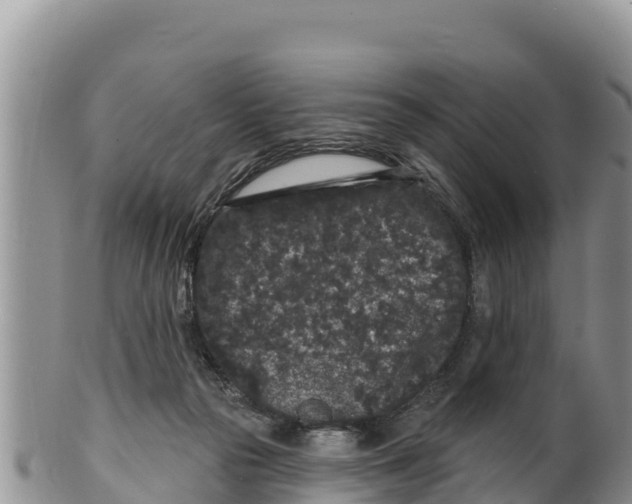 X0000100200169200806201430