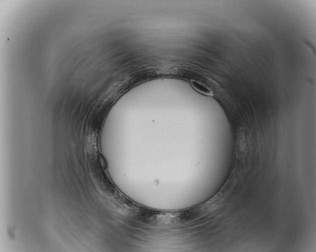 X0000100200172200806201430