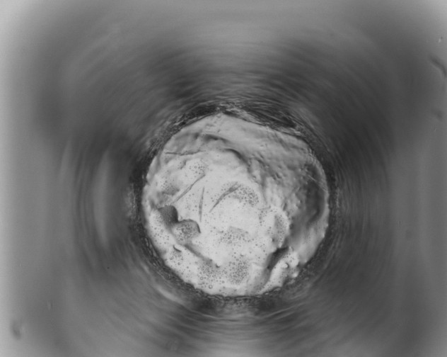 X0000100200173200806201430