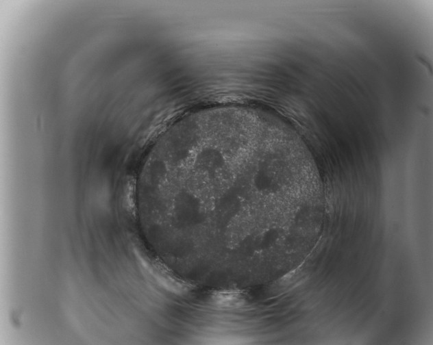 X0000100200175200806201430