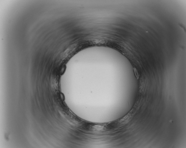 X0000100200176200806201430