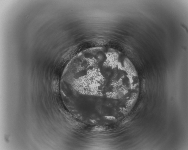 X0000100200177200806201430