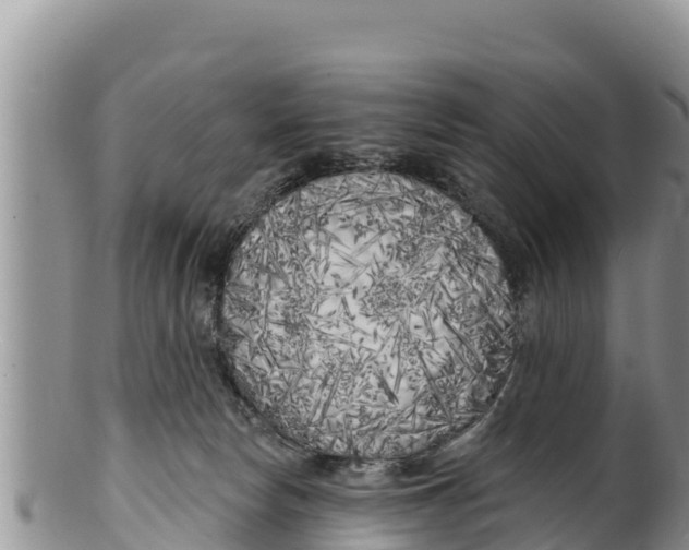 X0000100200178200806201430