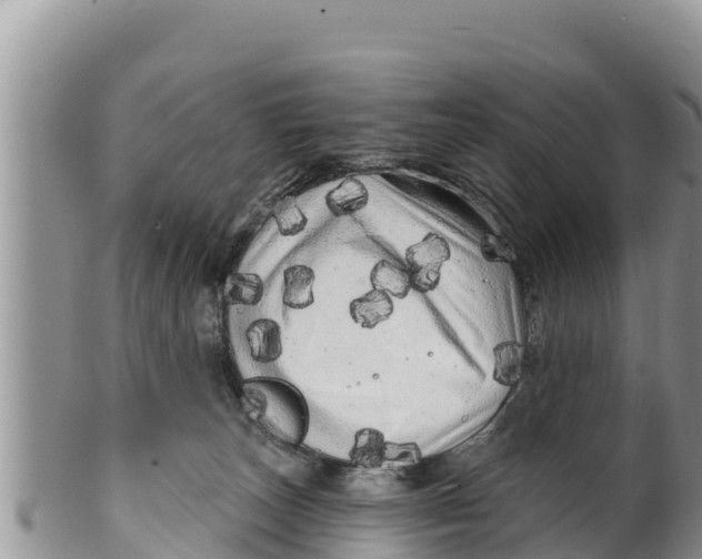 X0000100200179200806201430