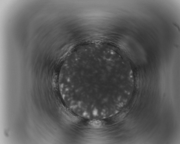 X0000100200181200806201430