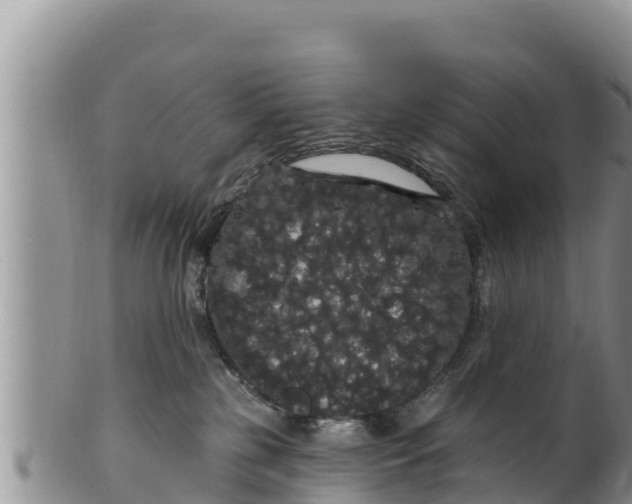 X0000100200185200806201430