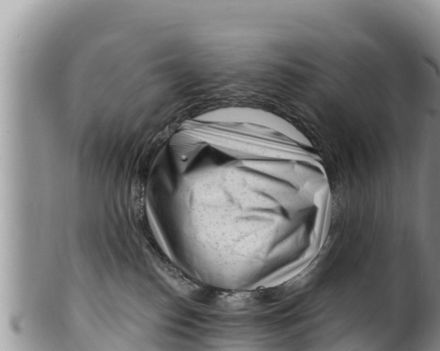 X0000100200186200806201430