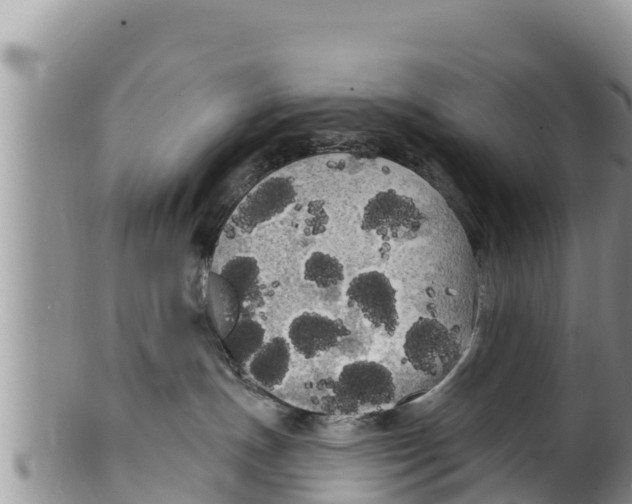 X0000100200191200806201430