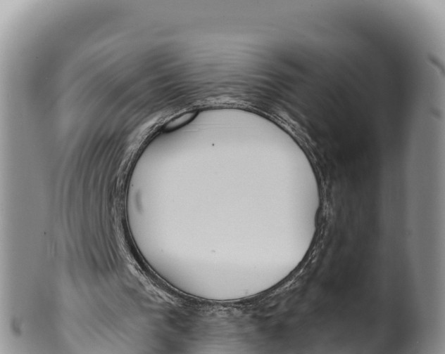 X0000100200193200806201429