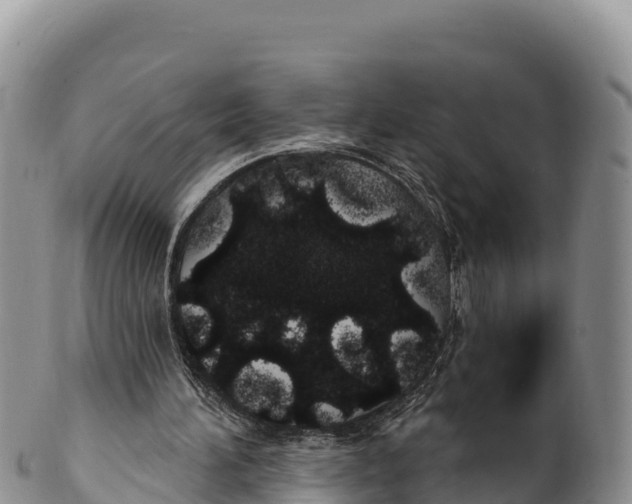 X0000100200196200806201429