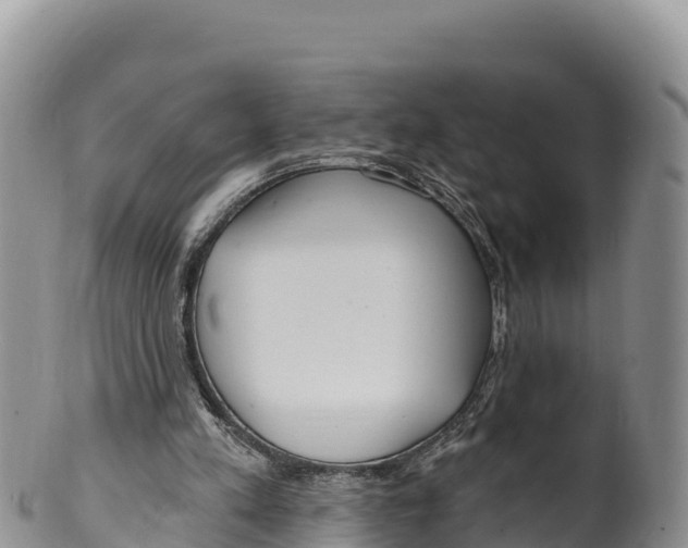 X0000100200197200806201429