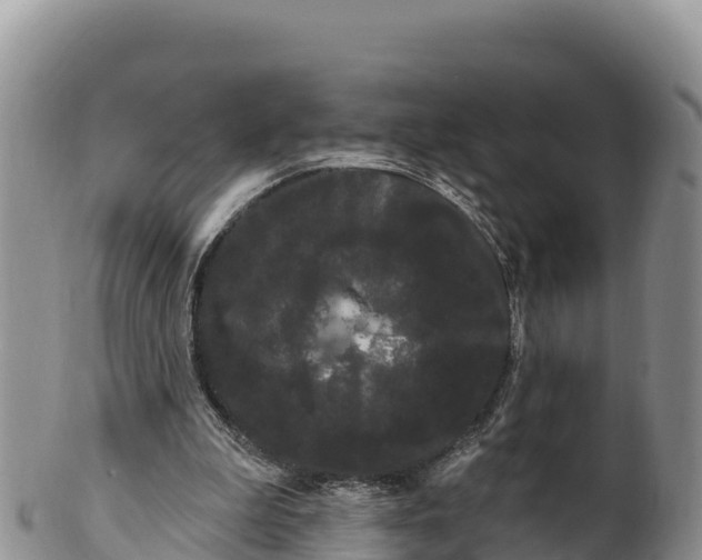 X0000100200199200806201429