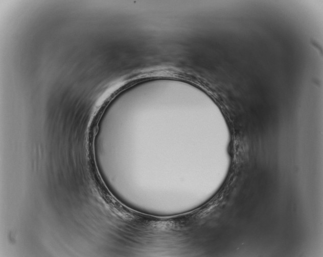 X0000100200200200806201429