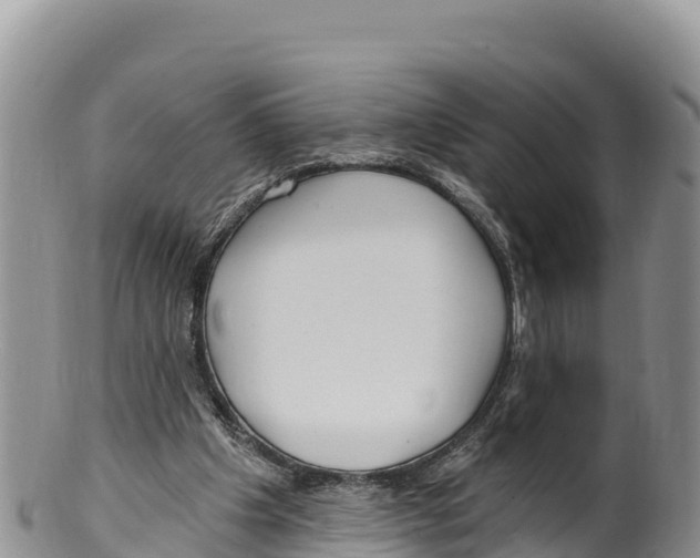 X0000100200201200806201429