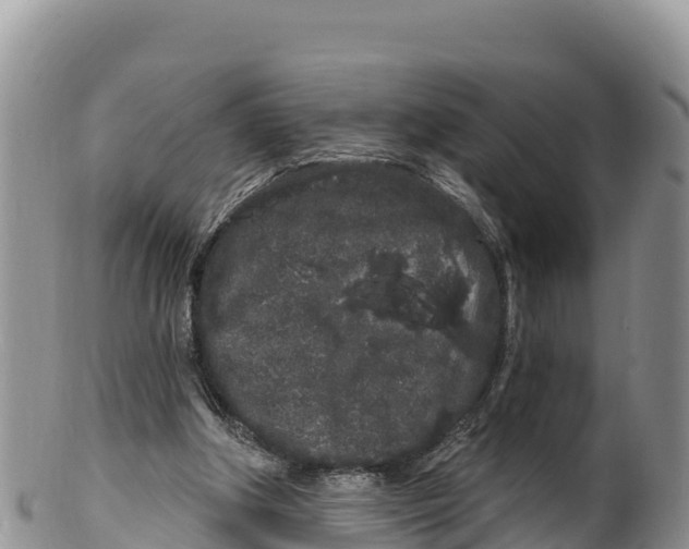 X0000100200202200806201429