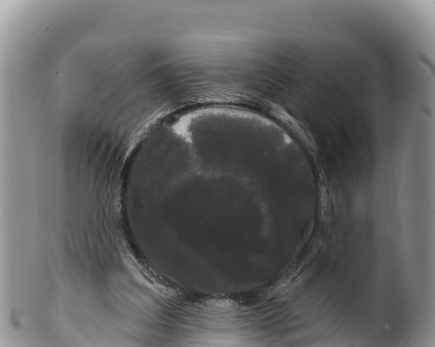 X0000100200203200806201429