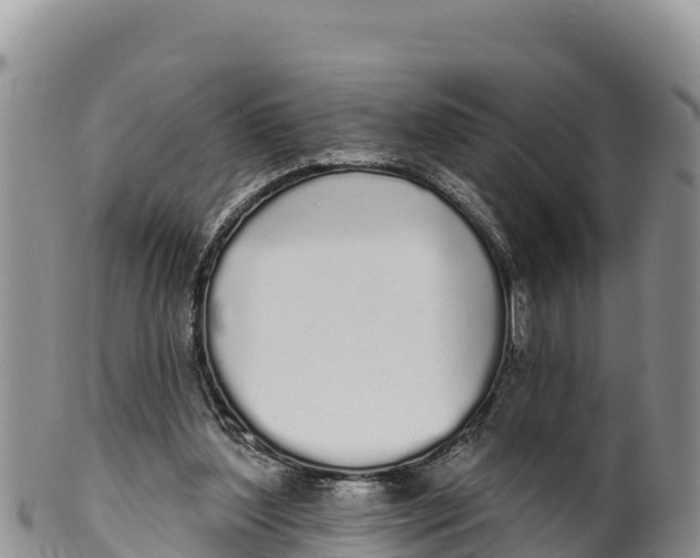 X0000100200204200806201429