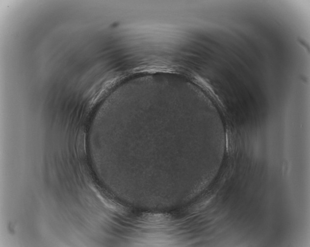 X0000100200205200806201429