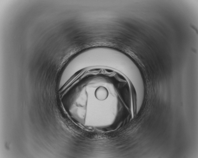 X0000100200207200806201429