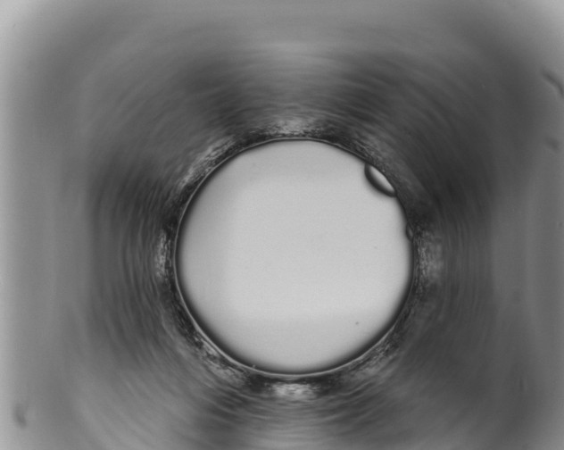 X0000100200216200806201429