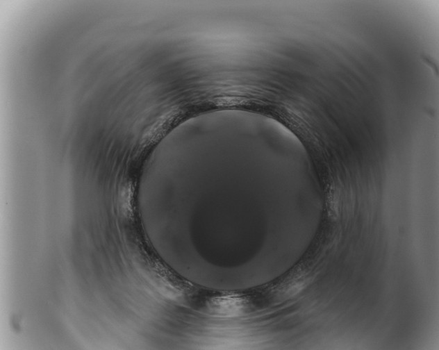 X0000100200219200806201429