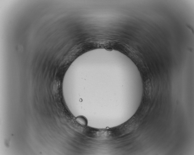 X0000100200225200806201429