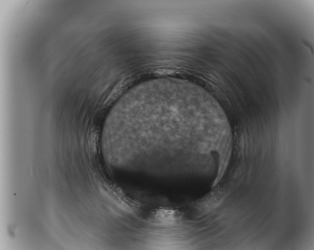 X0000100200227200806201429