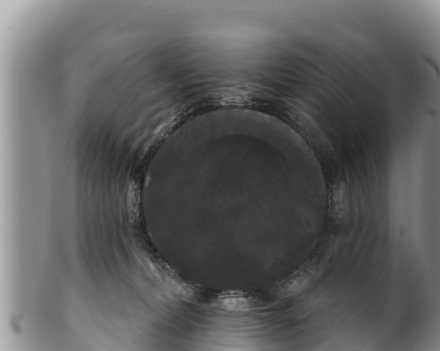 X0000100200228200806201429