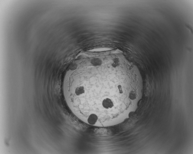 X0000100200230200806201429