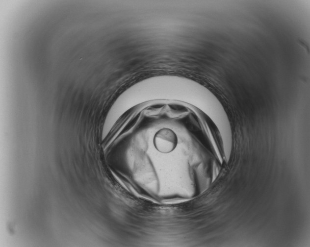 X0000100200233200806201429