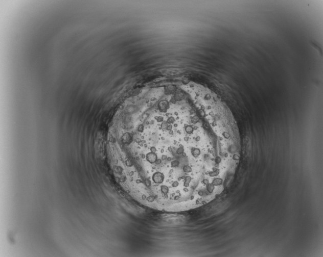 X0000100200234200806201429