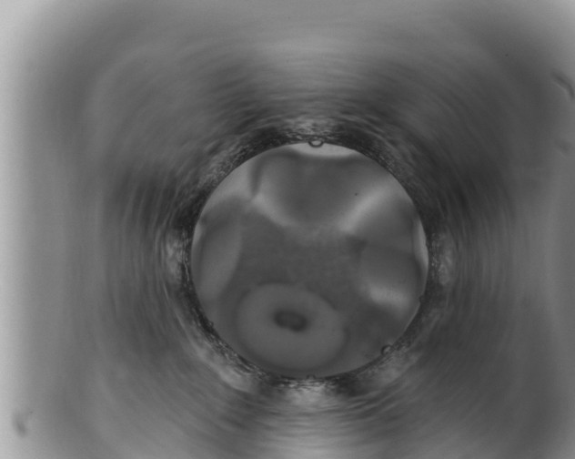 X0000100200235200806201429