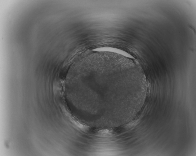 X0000100200237200806201429