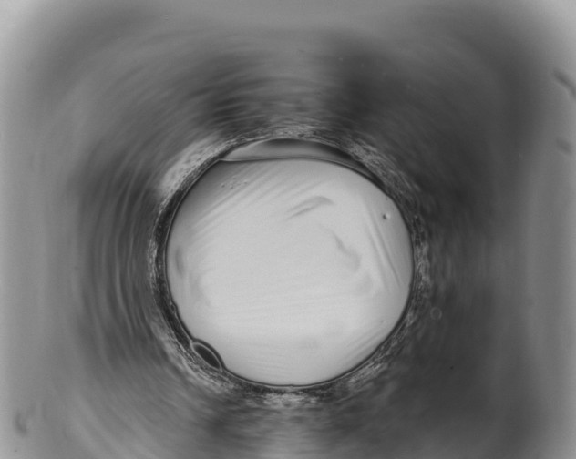 X0000100200242200806201428