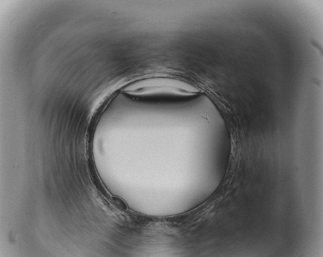 X0000100200244200806201428