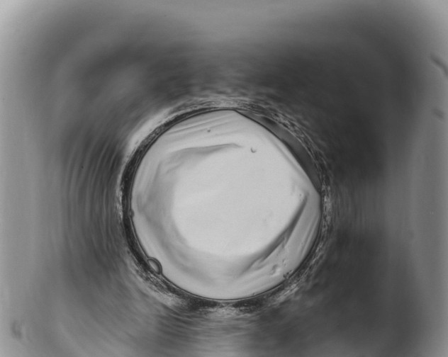 X0000100200246200806201428