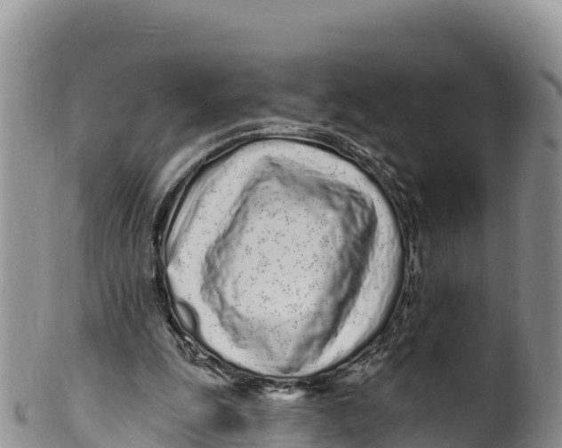 X0000100200247200806201428