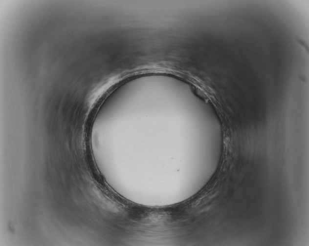 X0000100200248200806201428