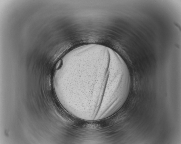 X0000100200251200806201428